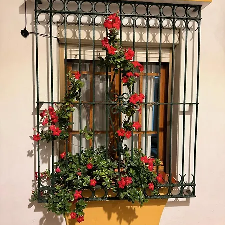 Old Town! 3bed House 5min Walk To Nyaraló